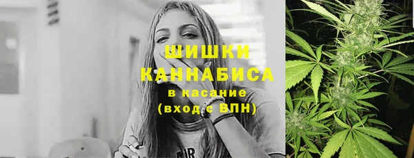 Альфа ПВП Няндома