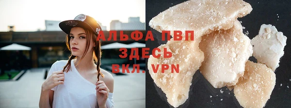 Альфа ПВП Няндома