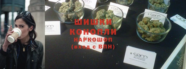 Альфа ПВП Няндома