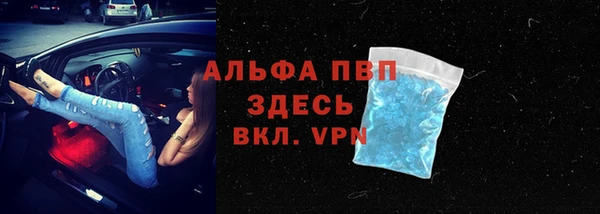 спиды Каменка