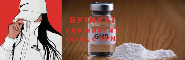 шишки Тайга