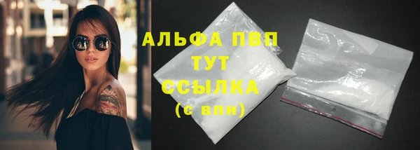 Альфа ПВП Няндома