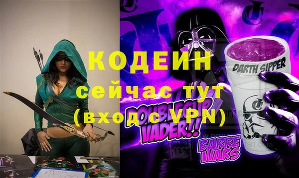 шишки Тайга