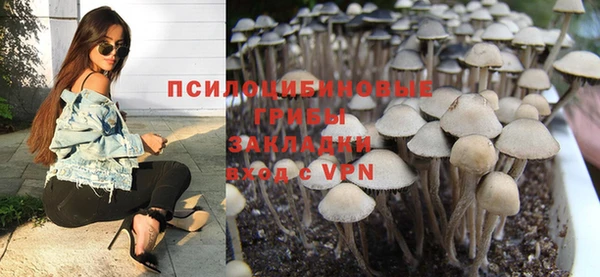 стаф Покров