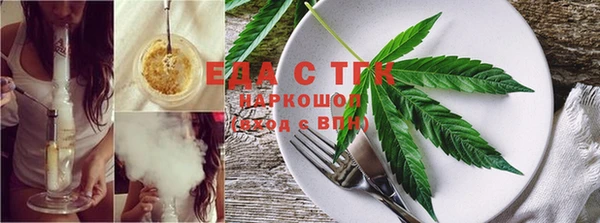шишки Тайга