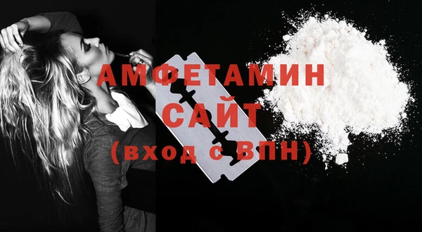 Альфа ПВП Няндома