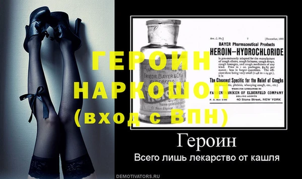 шишки Тайга