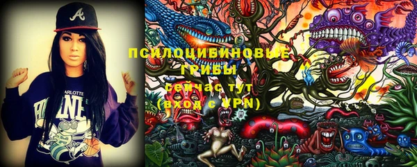 Альфа ПВП Няндома