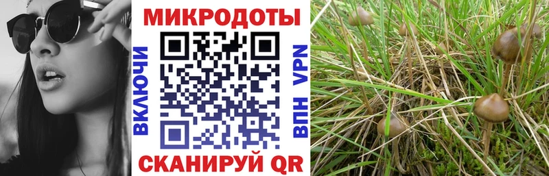 Галлюциногенные грибы мицелий  как найти закладки  Алдан 
